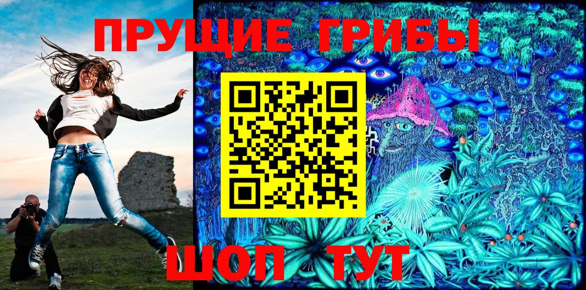 Галлюциногенные грибы Psilocybe Тара