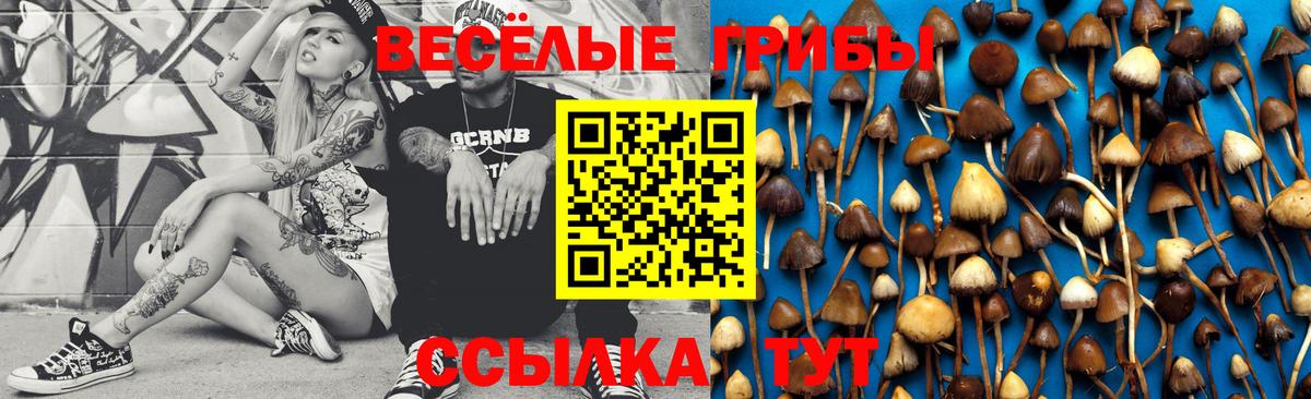 Псилоцибиновые грибы Psilocybe  Вход с VPN  Галлюциногенные грибы Magic Shrooms  Тара 